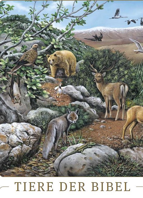 Poster Tiere der Bibel
