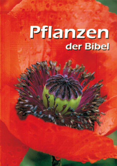 Begleitheft Pflanzen der Bibel