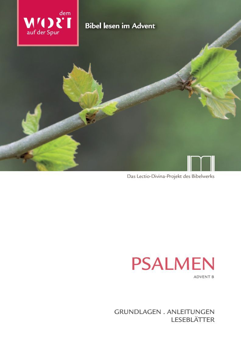 Lectio Divina. Psalmen (Lesejahr B)