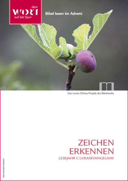 Lectio Divina. Zeichen erkennen (Lesejahr C)
