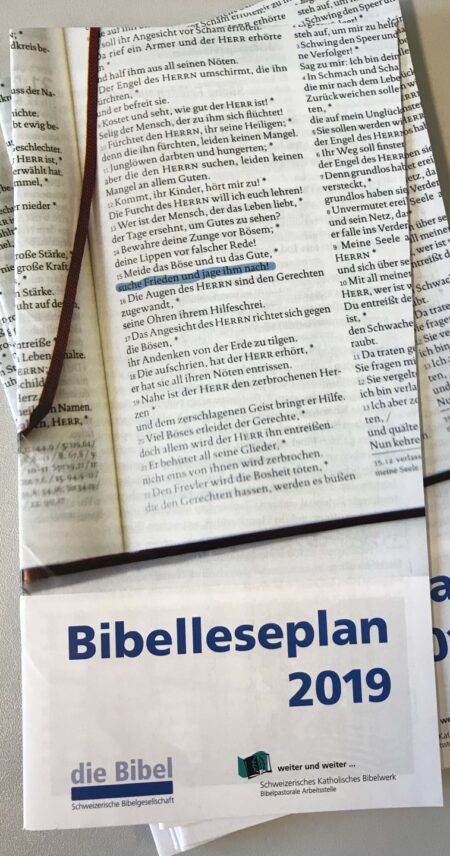 20181113085119_Bibelleseplan 2019