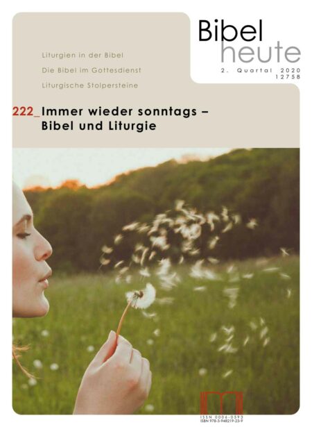 Immer wieder sonntags - Bibel und Liturgie